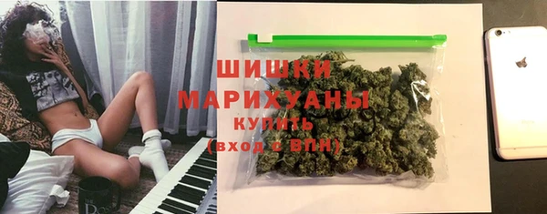 mdpv Богородск
