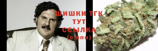 mdpv Богородск