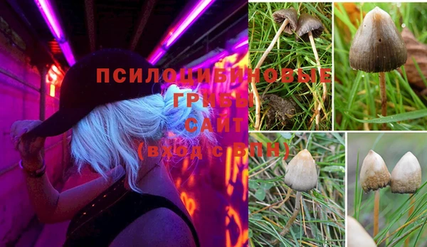 прущий лед Богородицк